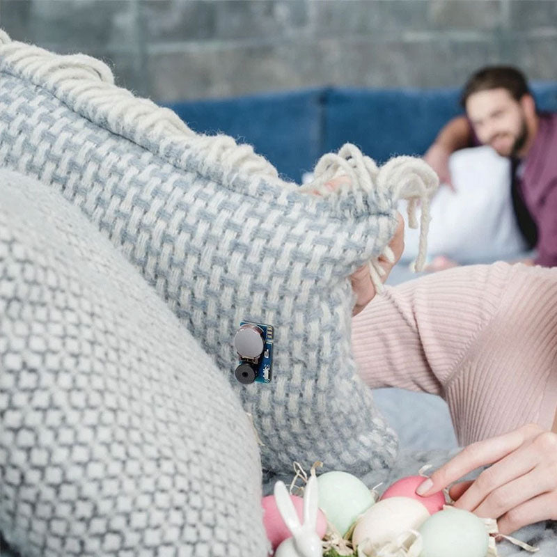 2X Cricket Noise Maker for Pranks, April Fool's Day Annoying Sound Gadget, Blue Buzz PCB Sound Device.